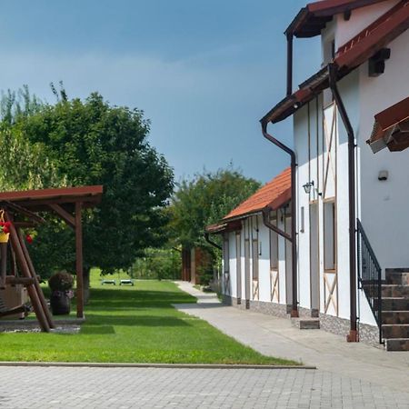 Magda Garden Hotel Cîrţişoara Exterior foto