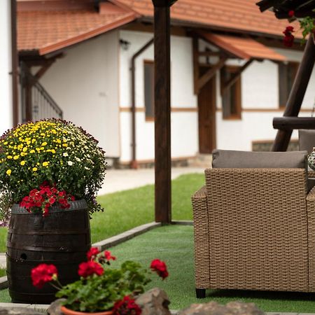 Magda Garden Hotel Cîrţişoara Exterior foto