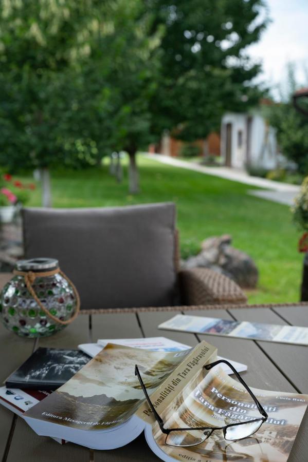 Magda Garden Hotel Cîrţişoara Exterior foto