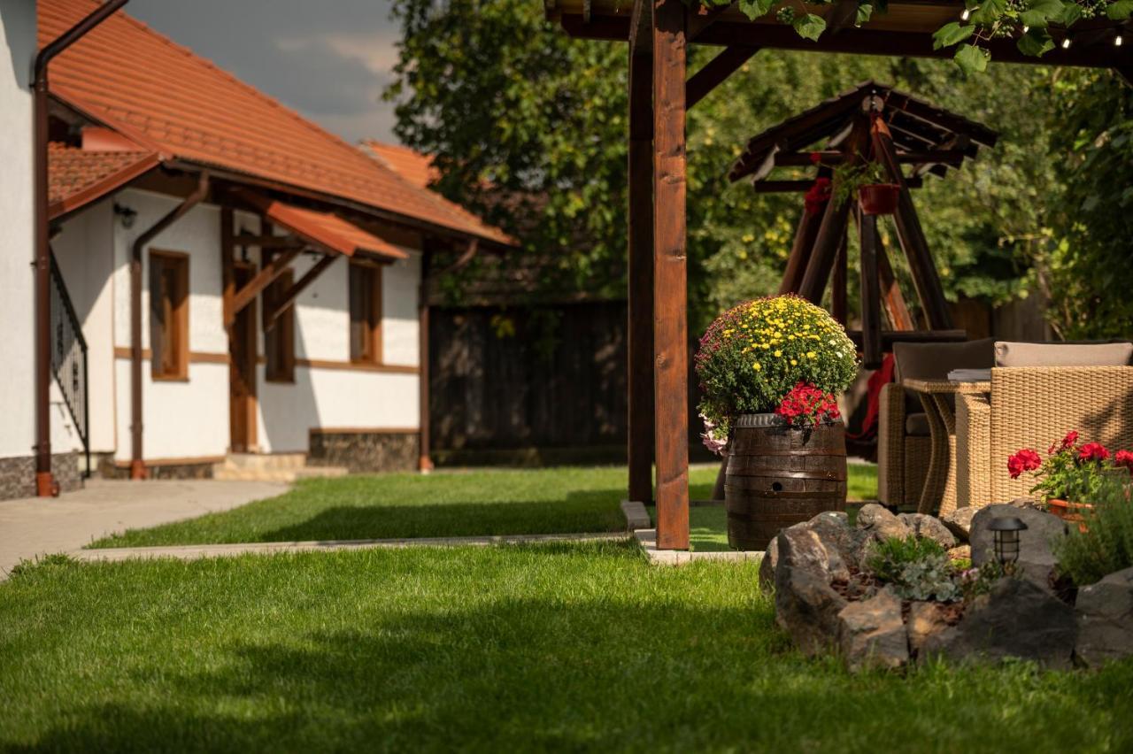 Magda Garden Hotel Cîrţişoara Exterior foto