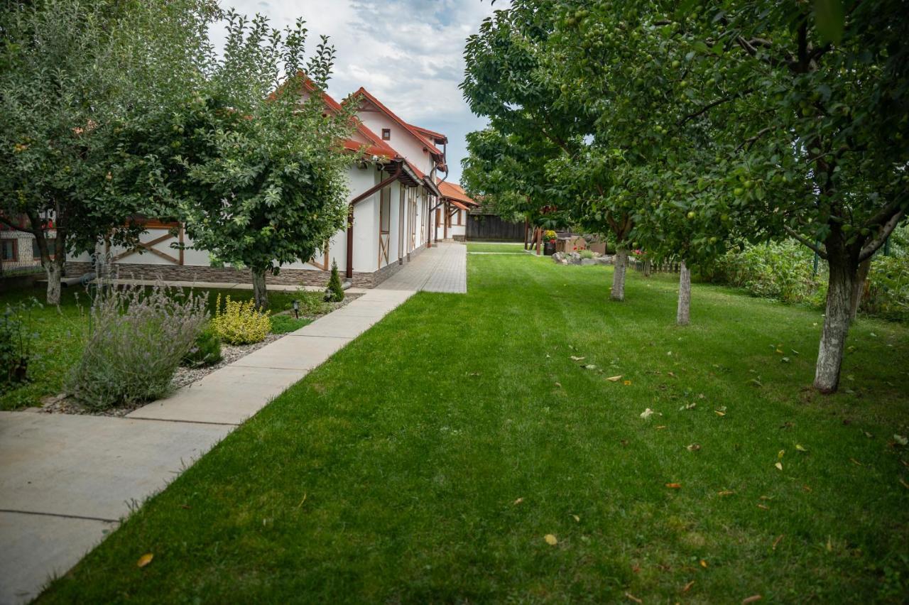 Magda Garden Hotel Cîrţişoara Exterior foto