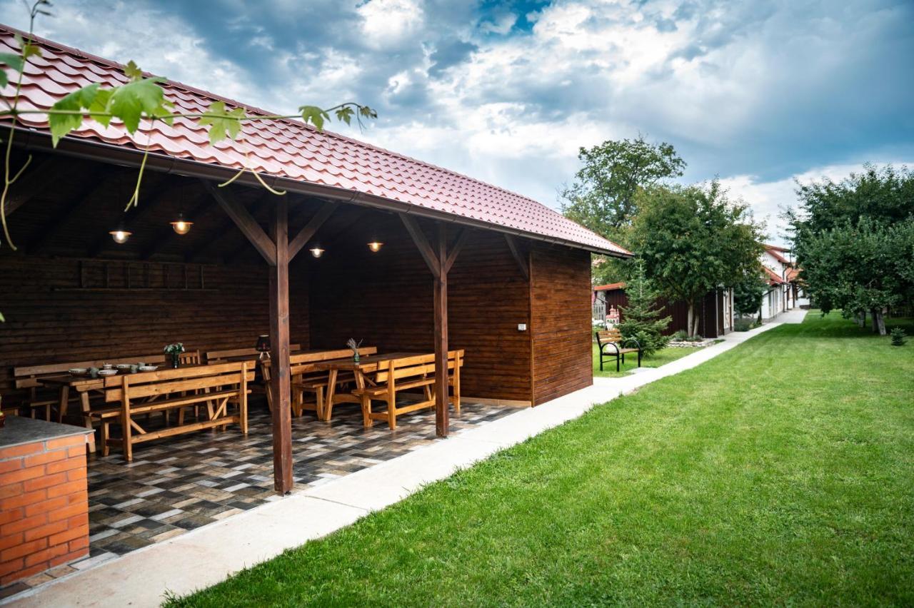 Magda Garden Hotel Cîrţişoara Exterior foto