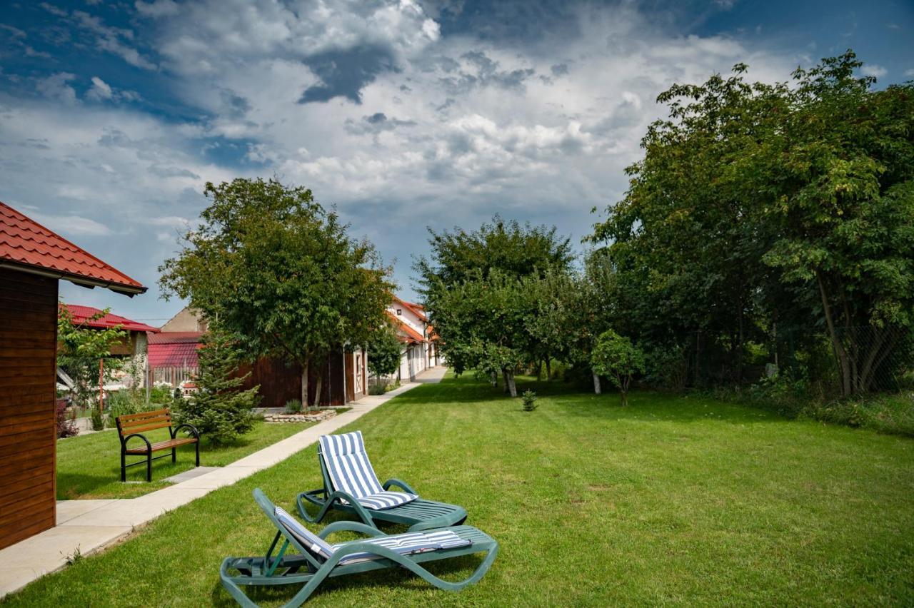 Magda Garden Hotel Cîrţişoara Exterior foto