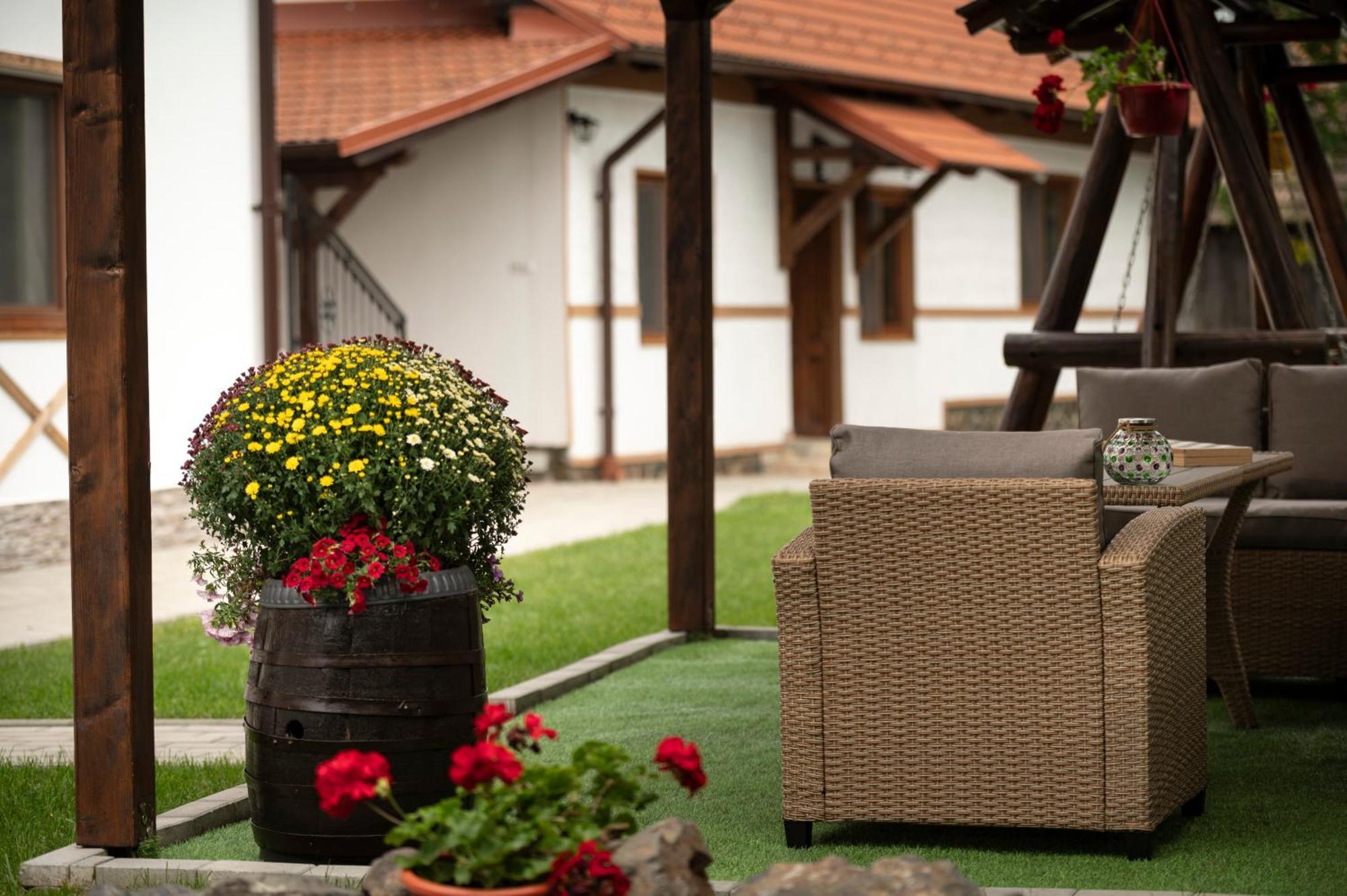 Magda Garden Hotel Cîrţişoara Exterior foto