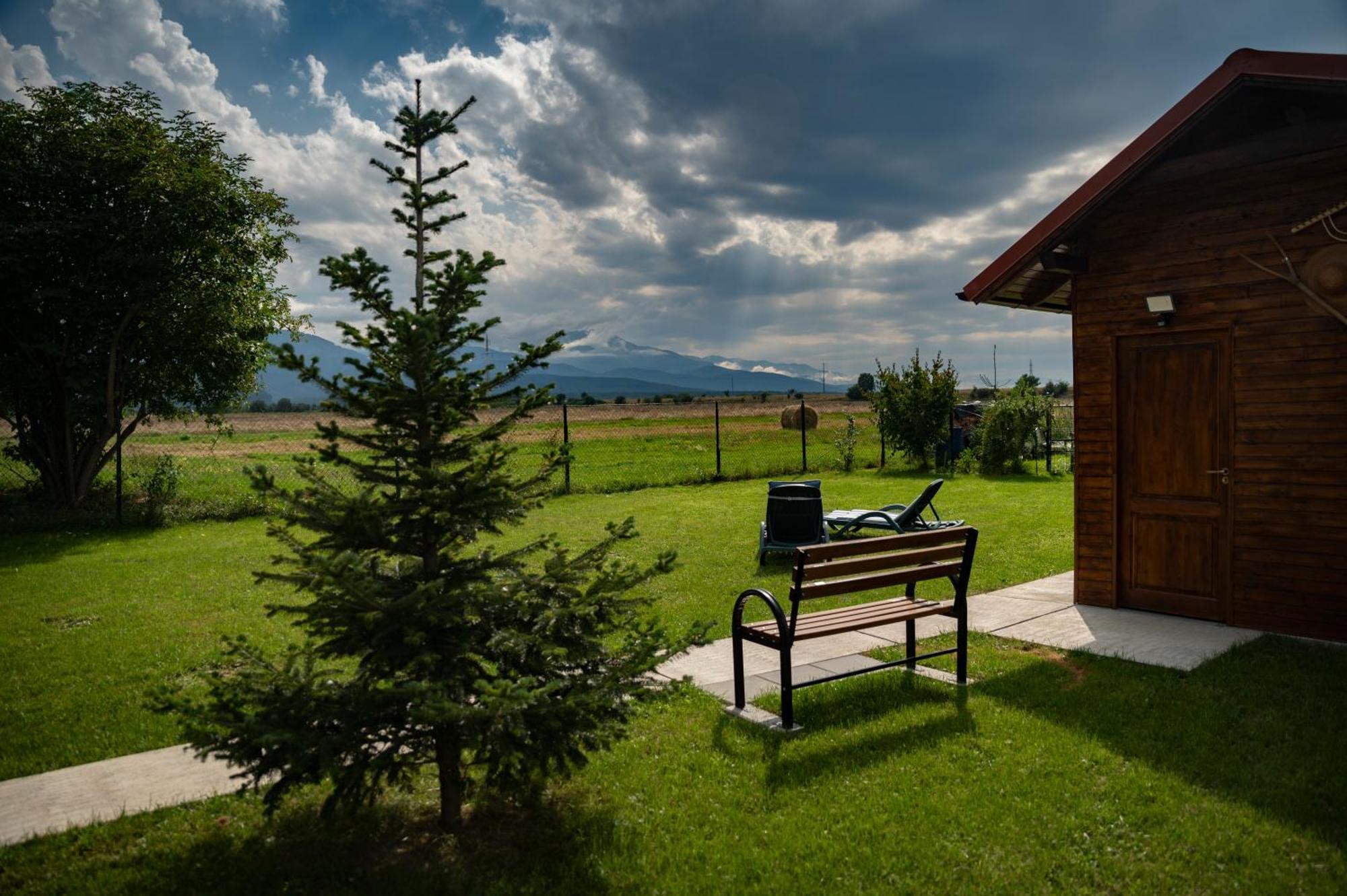 Magda Garden Hotel Cîrţişoara Exterior foto